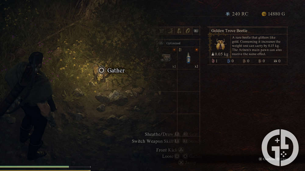 All Golden Trove Beetle locations we've found so far in Dragon's Dogma 2